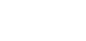 Blank white screen with a thin gray line near the bottom edge