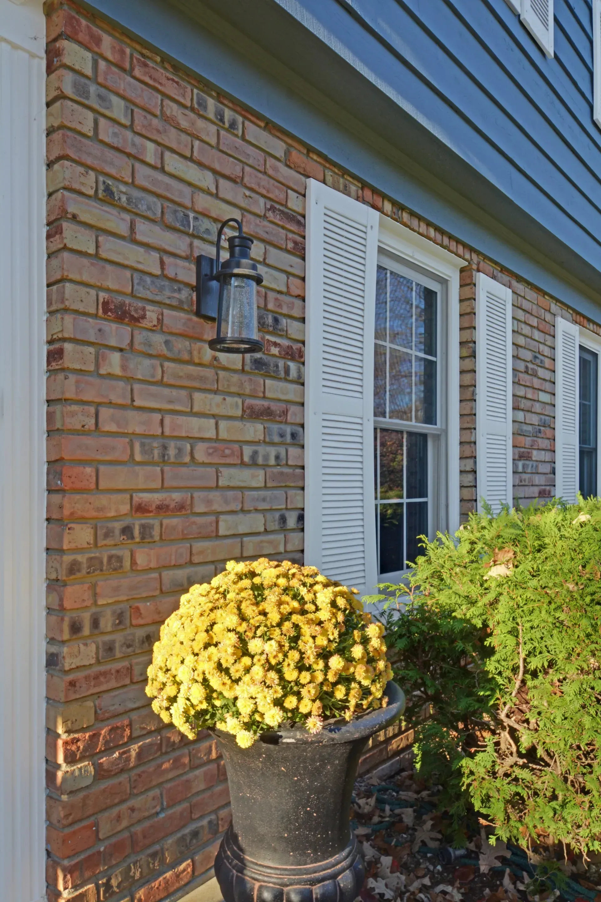 Brick house exterior with black lantern, white shutters, and a pot of yellow flowers by the window