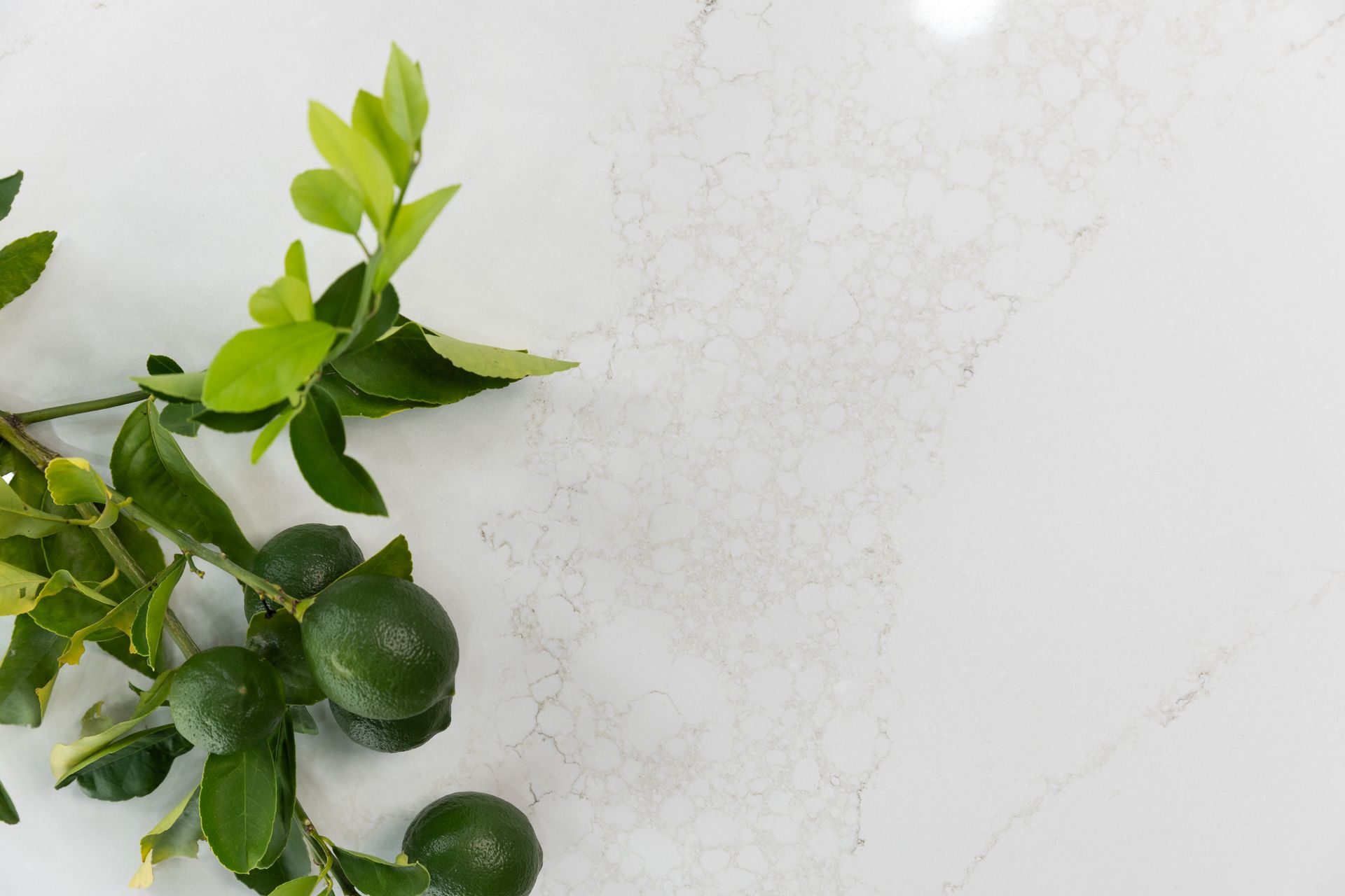 A White Counter Top With Limes and Leaves on It — Better Stone in Caloundra West, QLD
