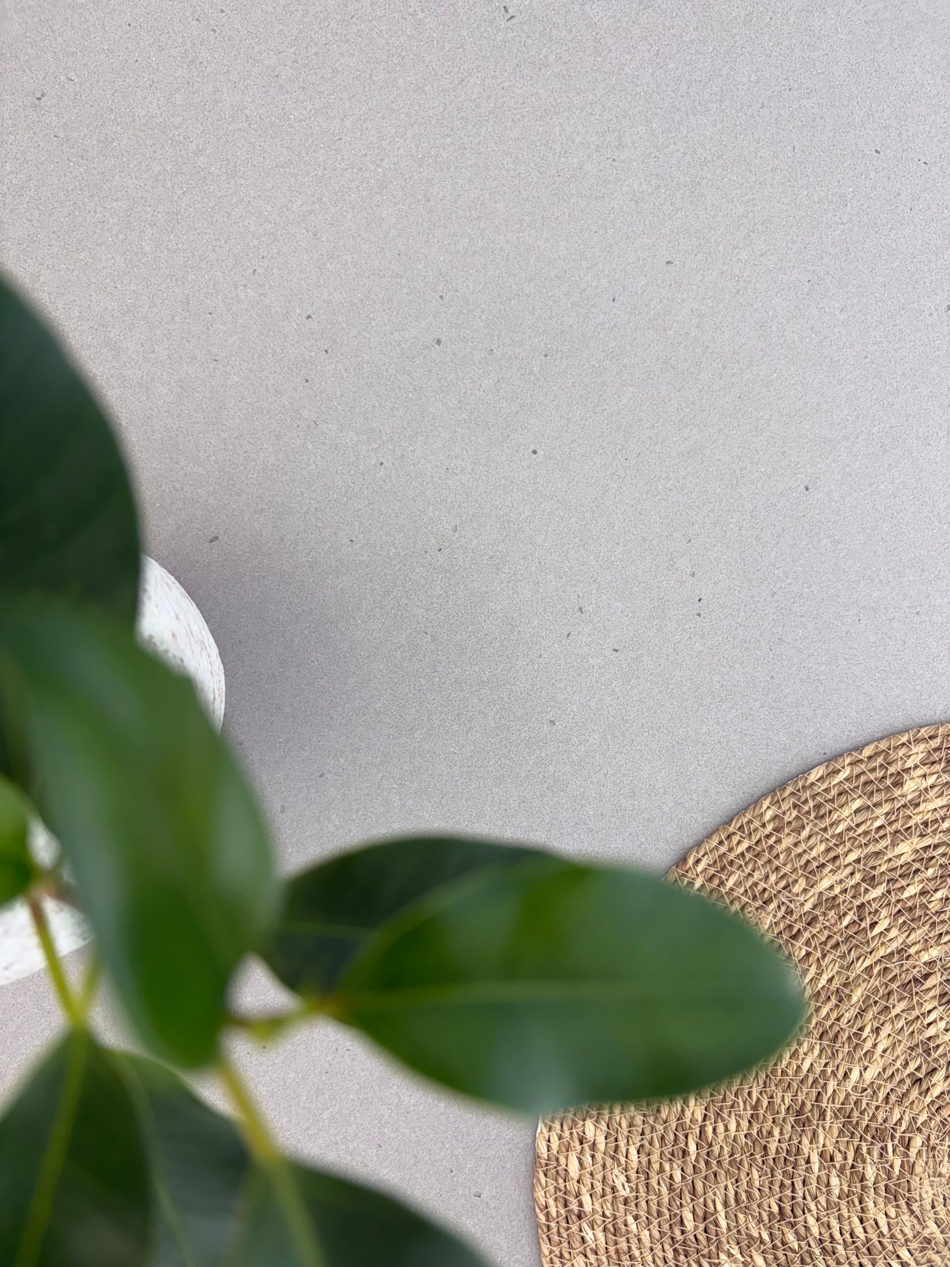 Green plant with large leaves next to a textured beige placemat on a light gray surface.