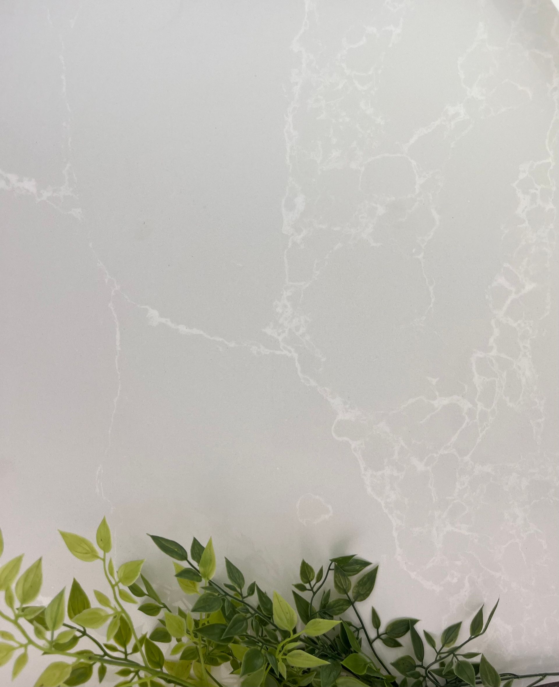 Green leafy plant branch on a white marbled surface.