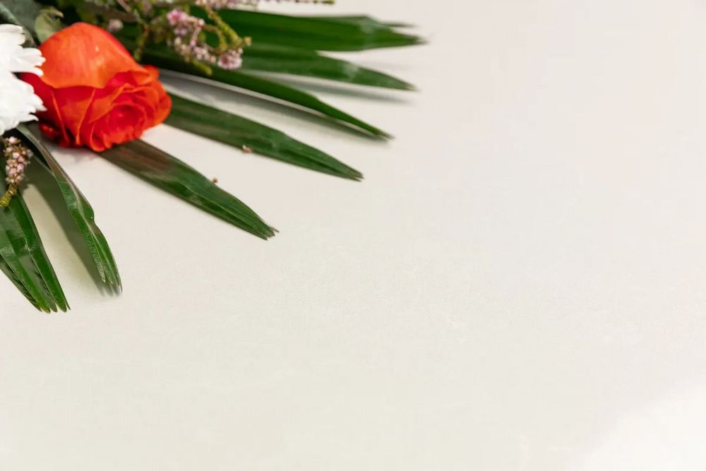 A Red Rose is Surrounded by Green Leaves on a White Surface — Better Stone in Caloundra West, QLD