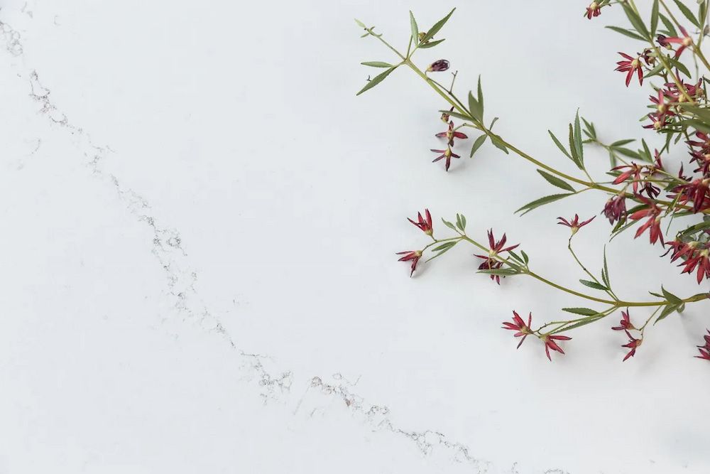 A Bunch of Flowers Are Sitting on a White Surface — Better Stone in Caloundra West, QLD