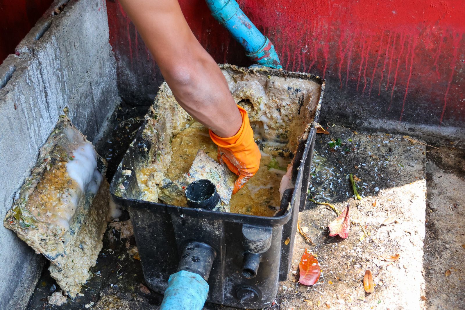 A gloved hand cleans a clogged grease trap, scraping out food waste in an outdoor setting.
