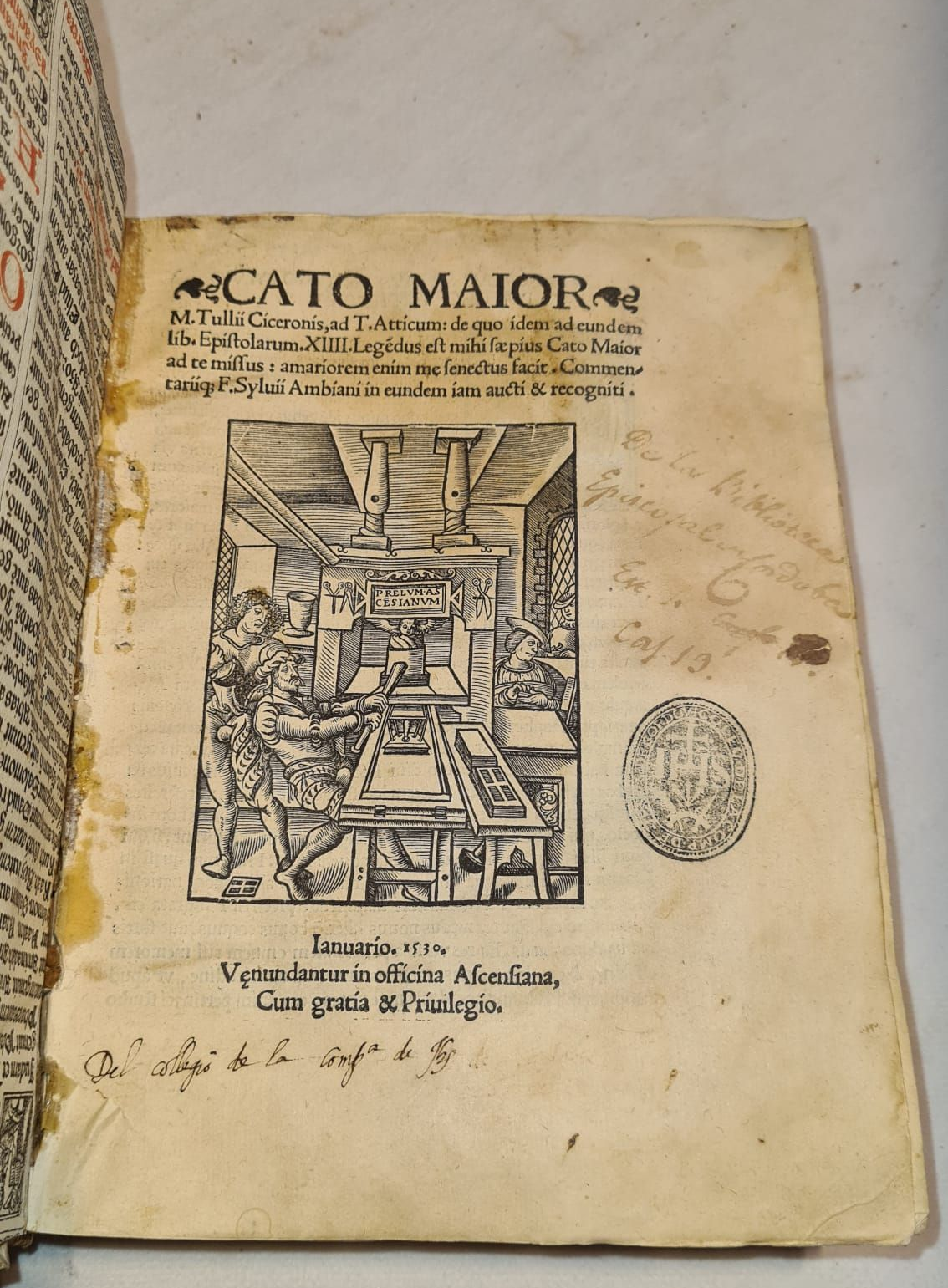 cato maior