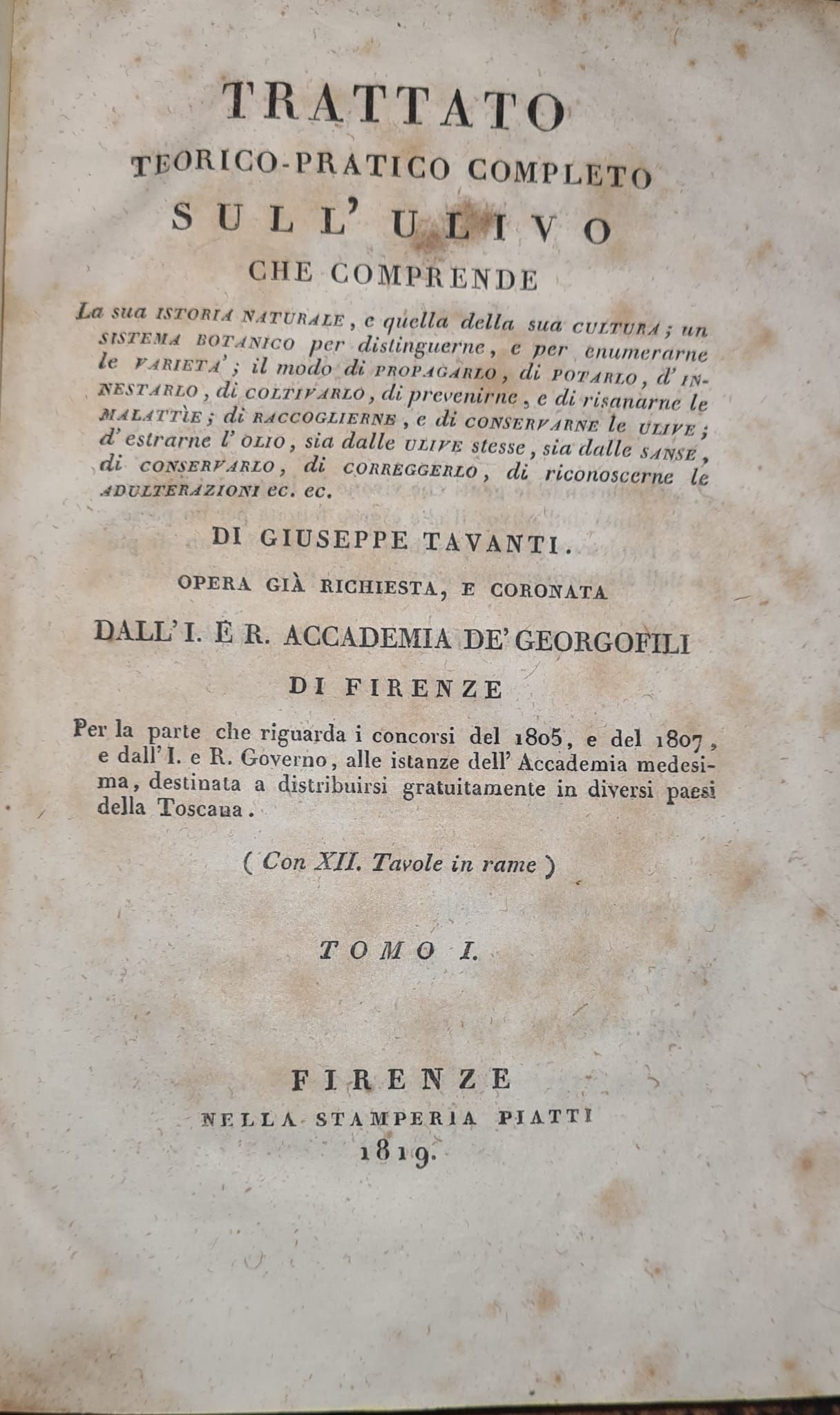 Trattato teorico-pratico completo sull'ulivo