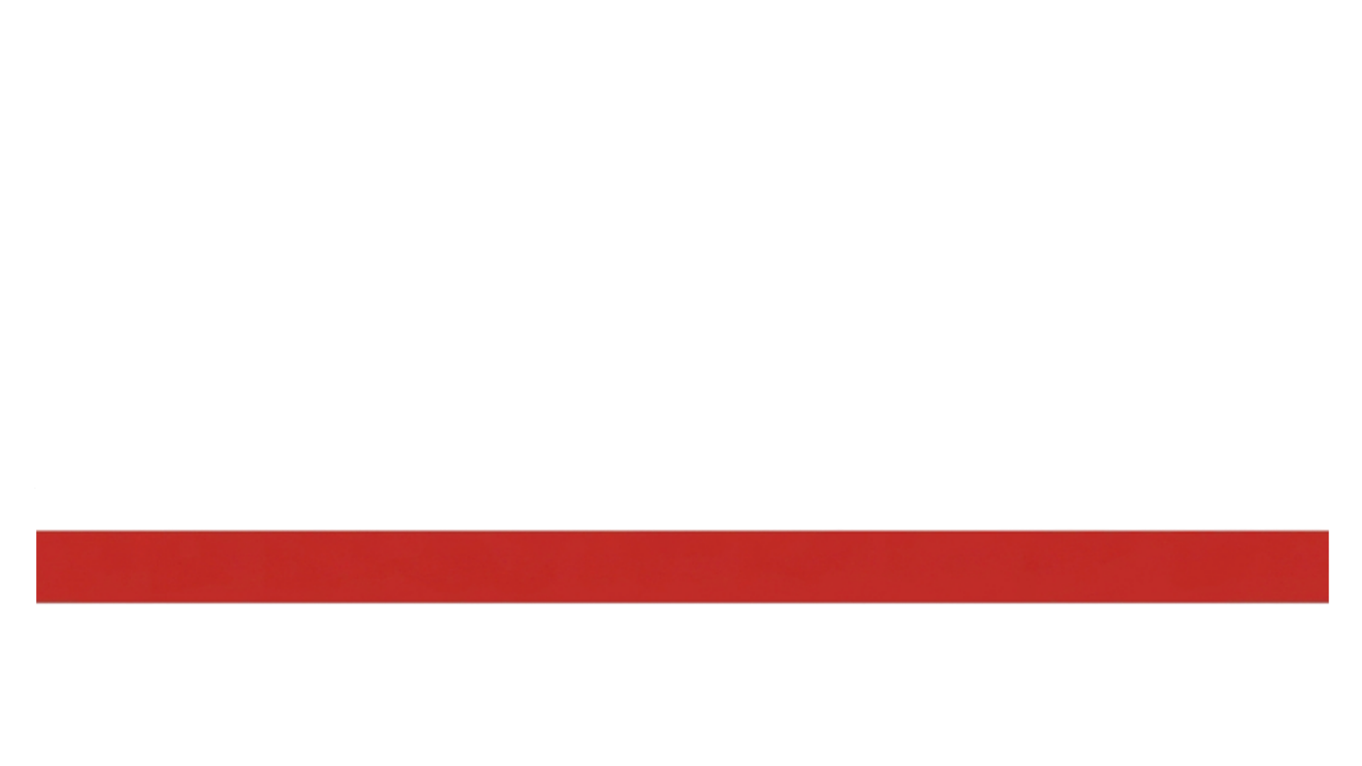 Danville Driving School logo with pale red text and a red bar on white background