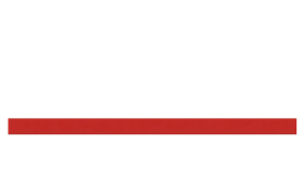 Danville Driving School logo with pale red text and a red bar on white background