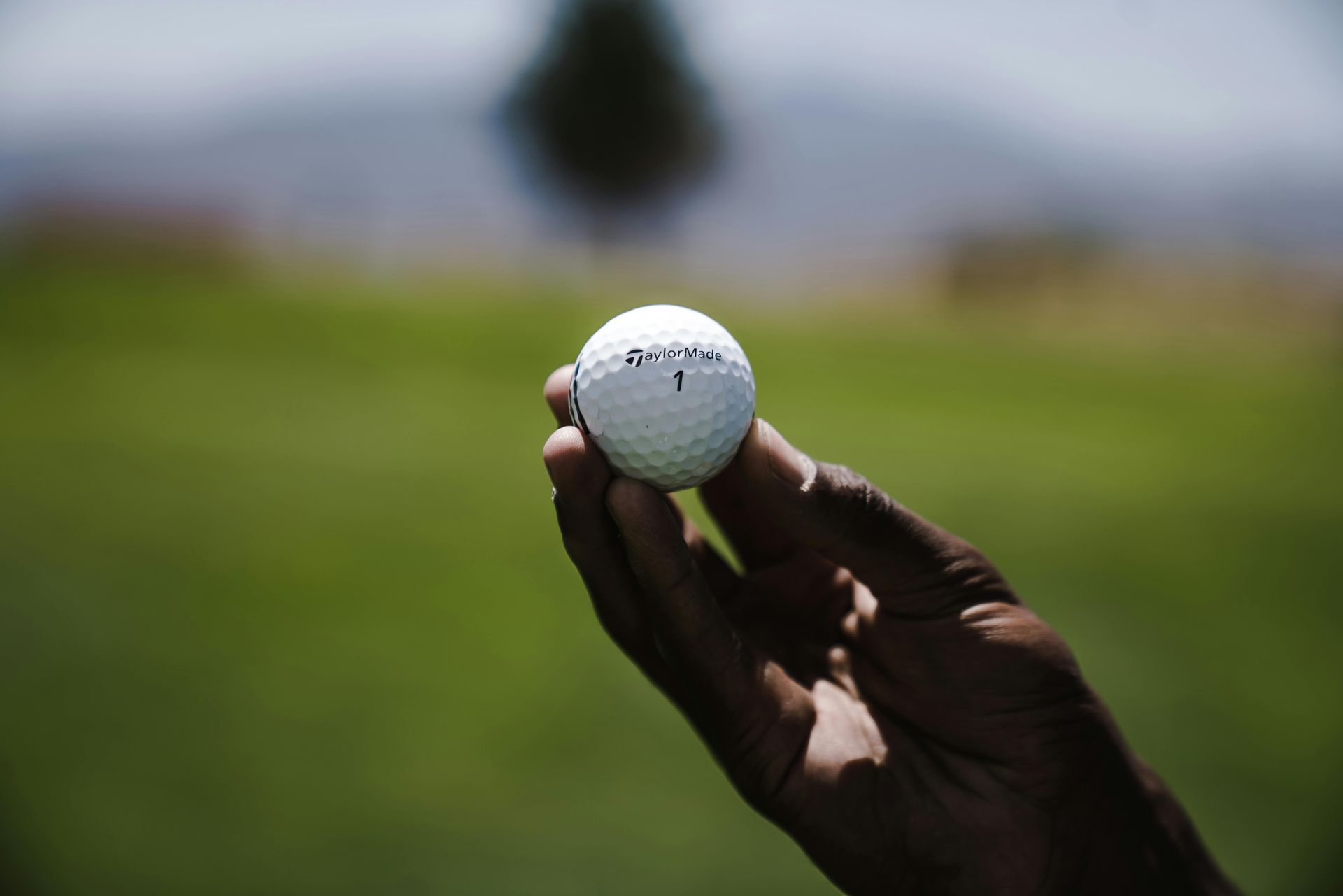 A person is holding a golf ball with the number 1 on it