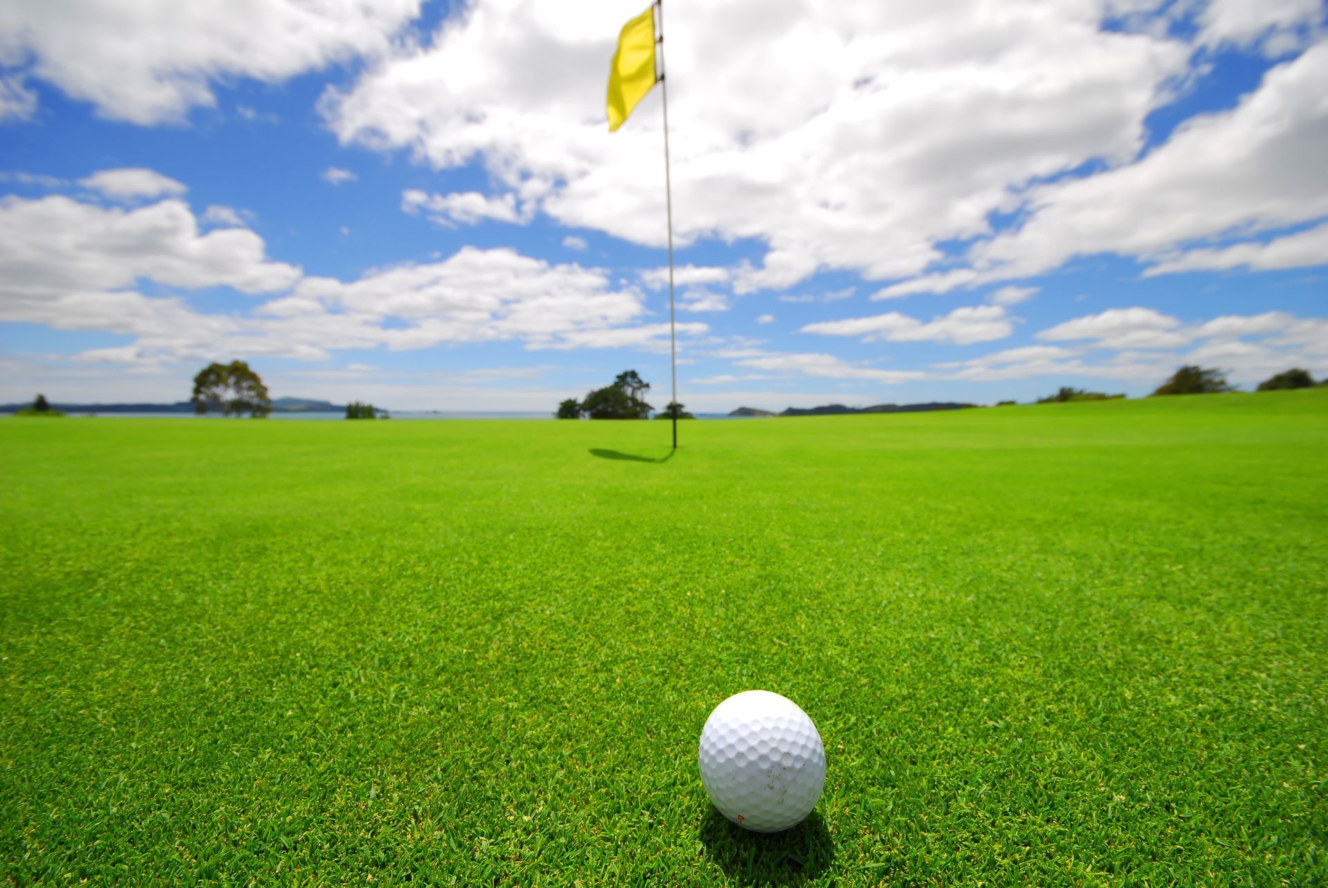 A golf ball is on the green of a golf course.