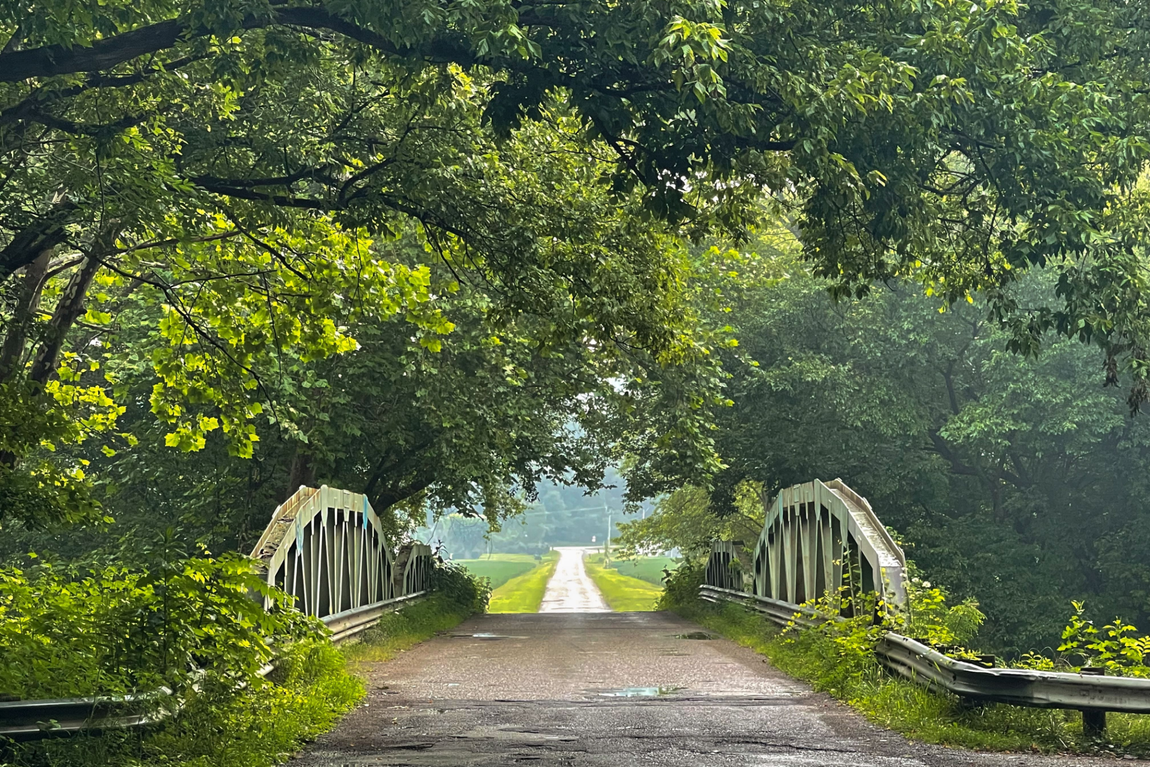 Tree-lined path over a small white bridge in a lush green park
