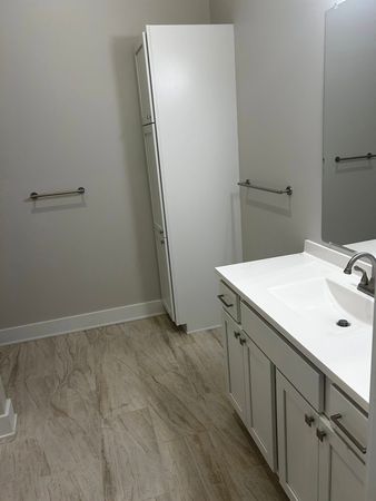 Empty bathroom with white vanity, mirror, and shower stall on wood-look flooring.