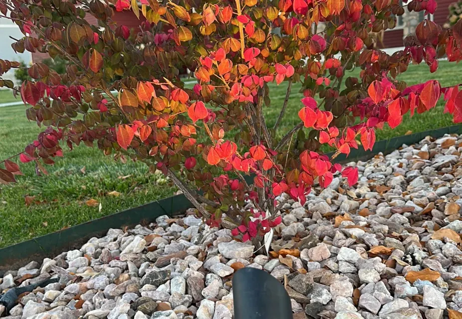 landscape lighting projects