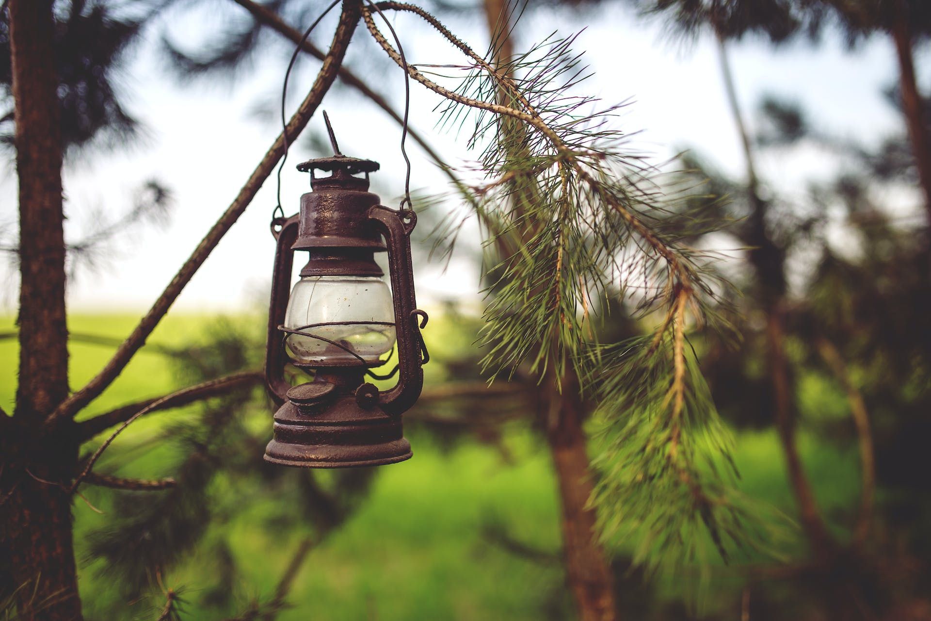 do's and don'ts of landscape lighting
