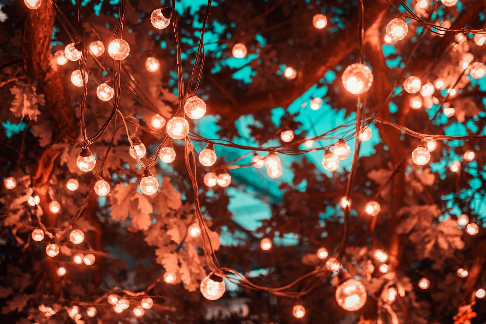 landscape lighting installation