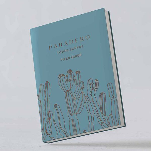 Blue book cover with minimalist line art flowers and the title Paradero Field Guide