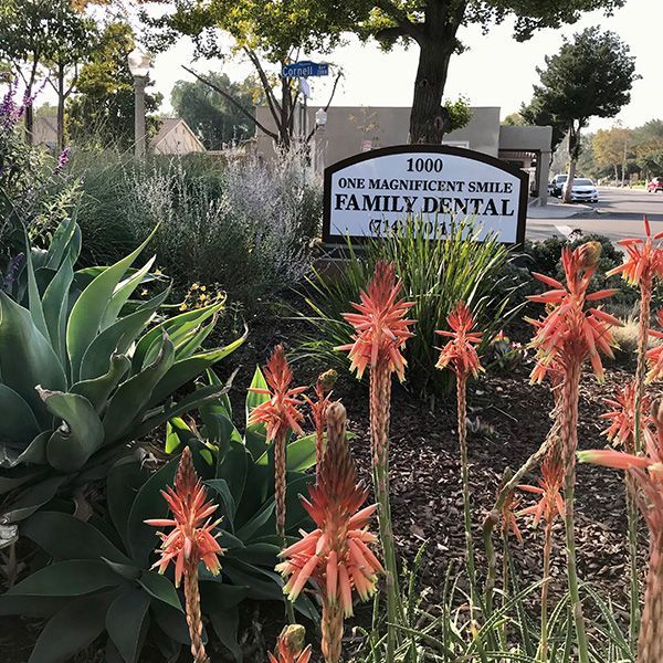 A sign for the family dental office is surrounded by flowers