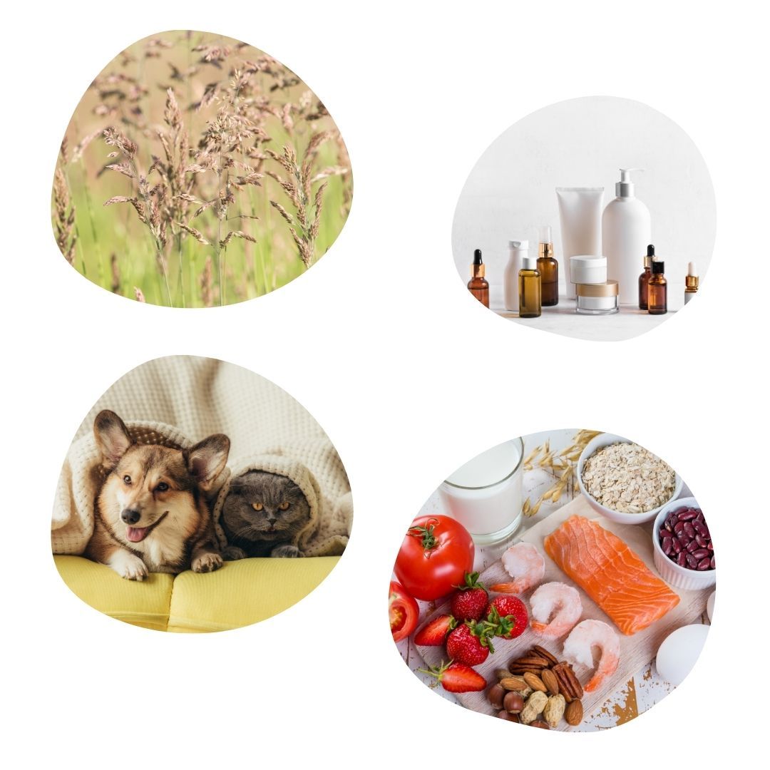 Voorbeelden Allergie