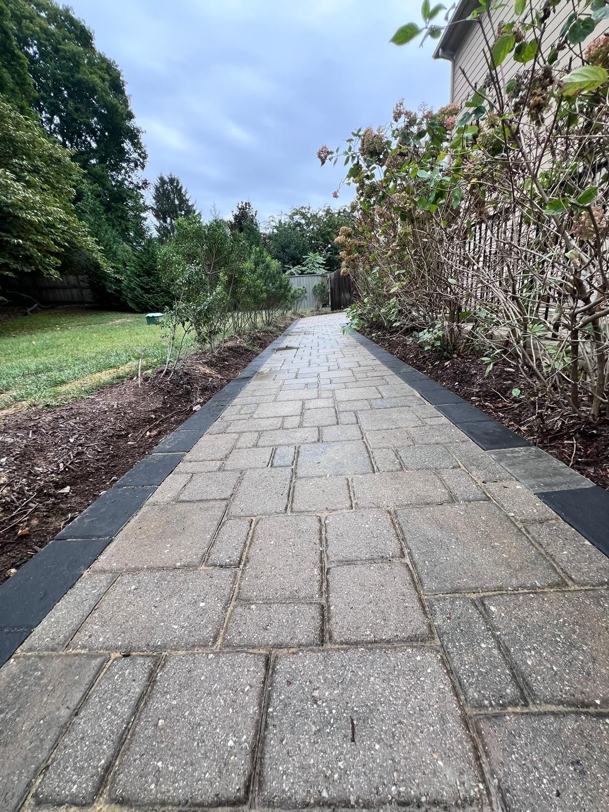 Brick pathway lined with plants under a cloudy sky.