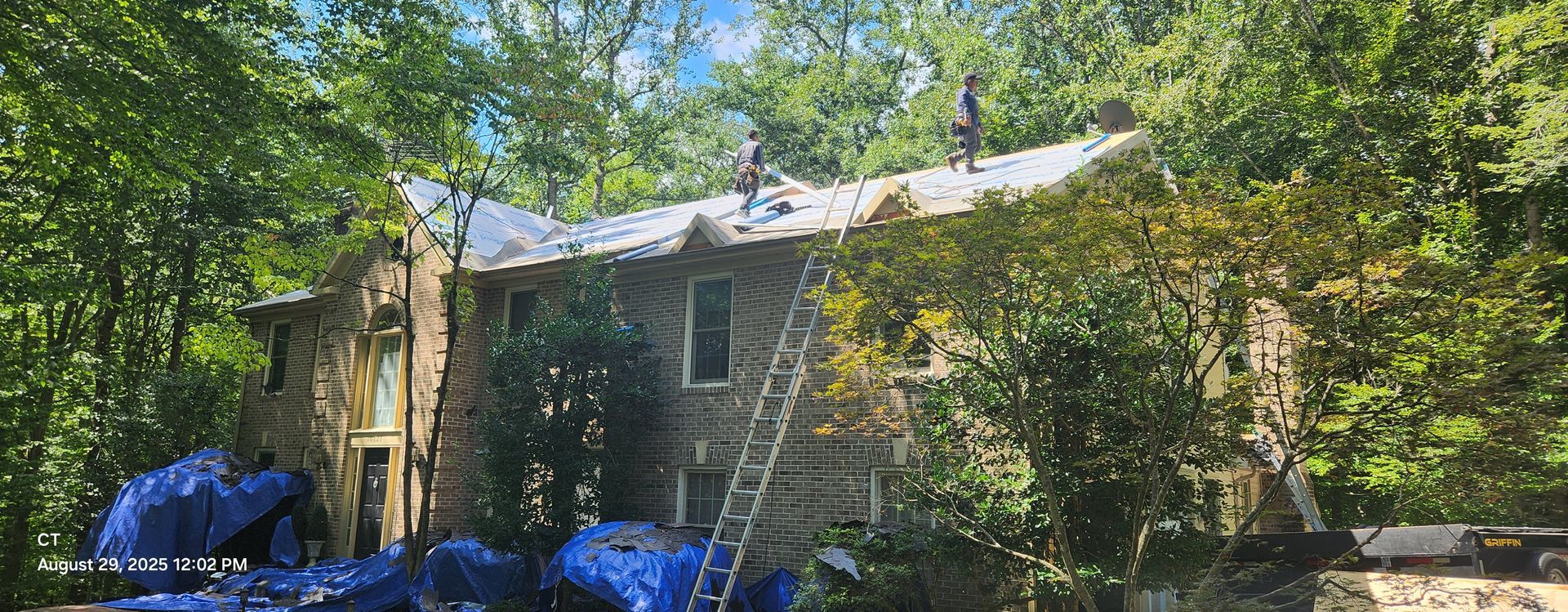 Workers on a roof surrounded by trees; house with ladder and blue tarps.