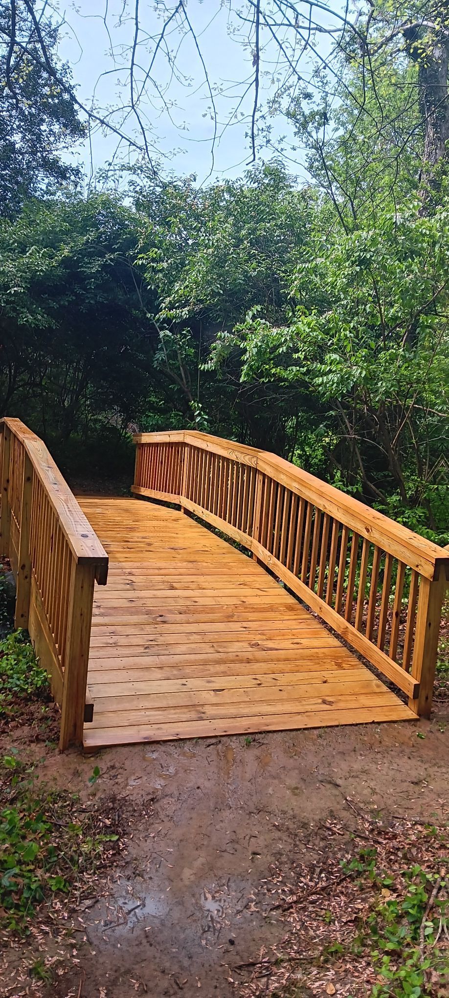 Wooden bridge over a trail surrounded by trees under a partly cloudy sky.