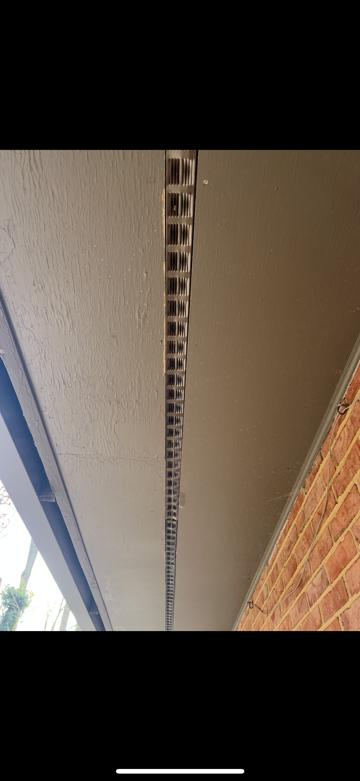 A snake is hanging from the ceiling of a building.