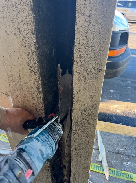 A person is cutting a hole in a wall with a saw.
