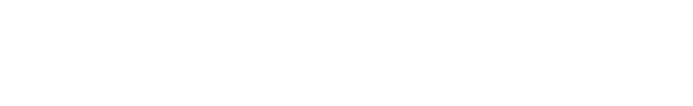 First Impressions Web Design and Development Company Logo