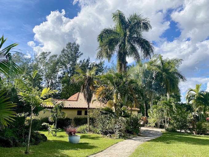Lush tropical garden with palm trees, a small house, and a curving path under a cloudy sky