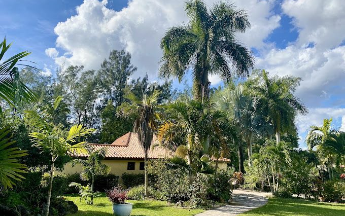 Tropical garden with tall palm trees and a house with a tan roof under a cloudy sky