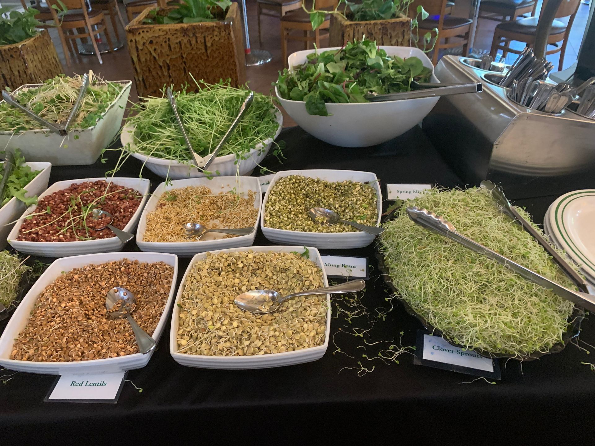Buffet table with assorted salad toppings in white bowls, including greens, beans, seeds, and dressings