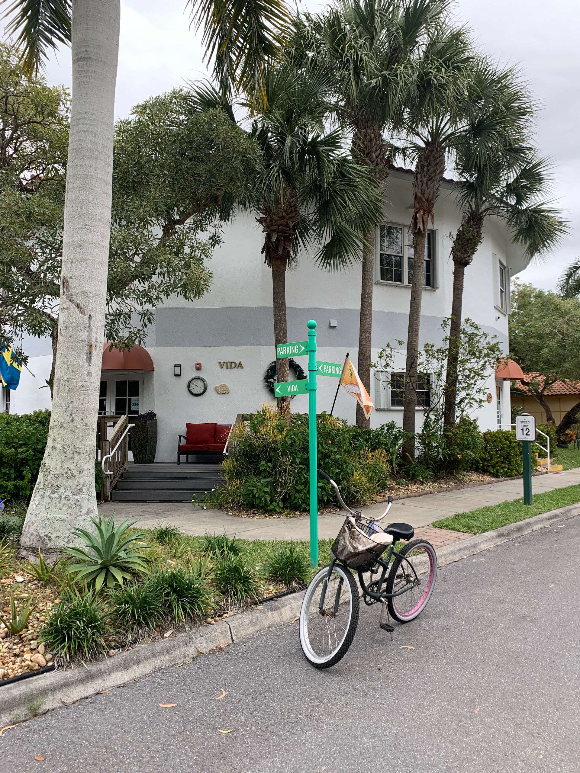 Pink bicycle parked on a street beside a white building and palm trees with a green scooter nearby