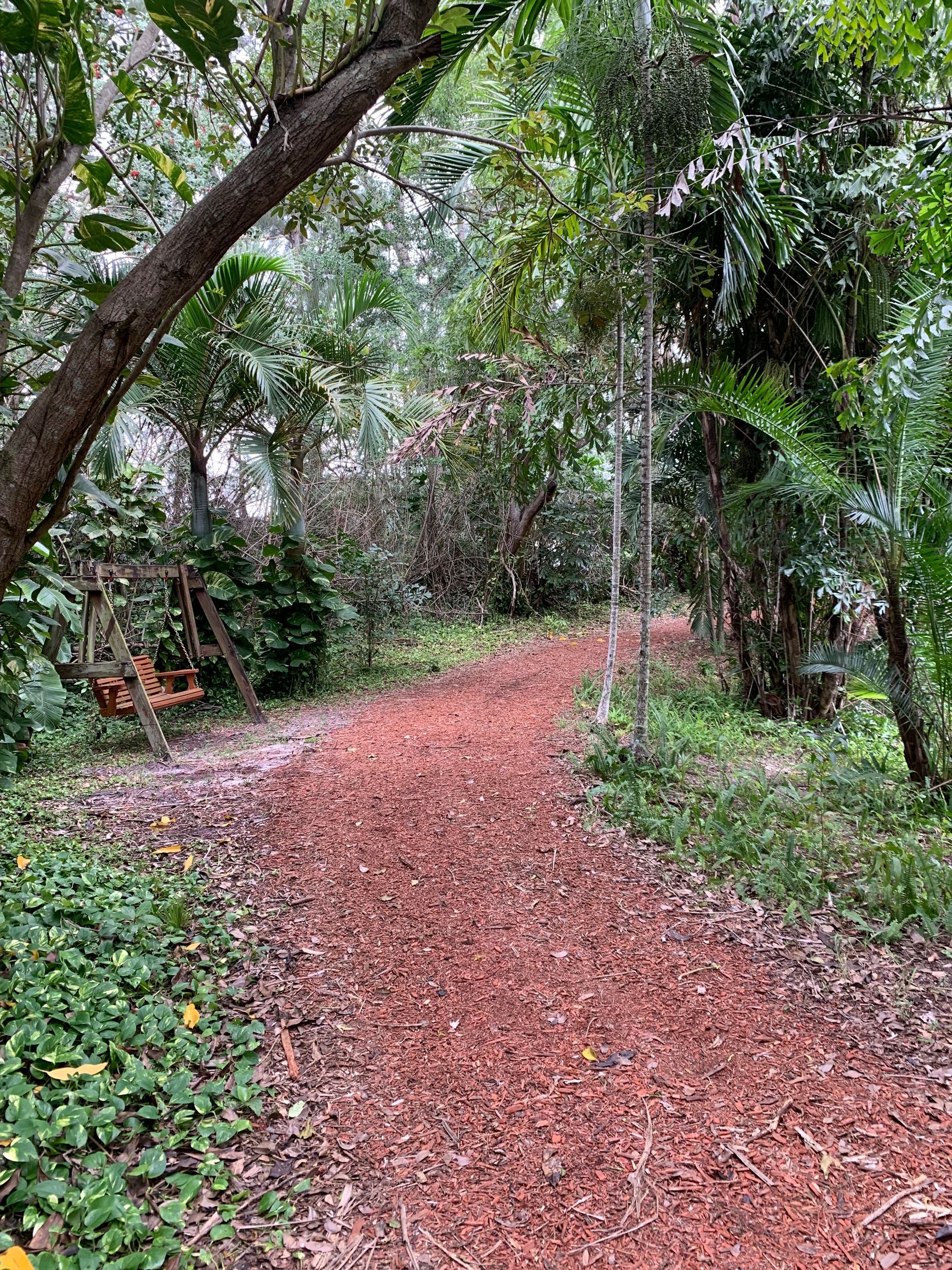Wooded dirt path covered in fallen leaves, surrounded by dense green trees and plants.