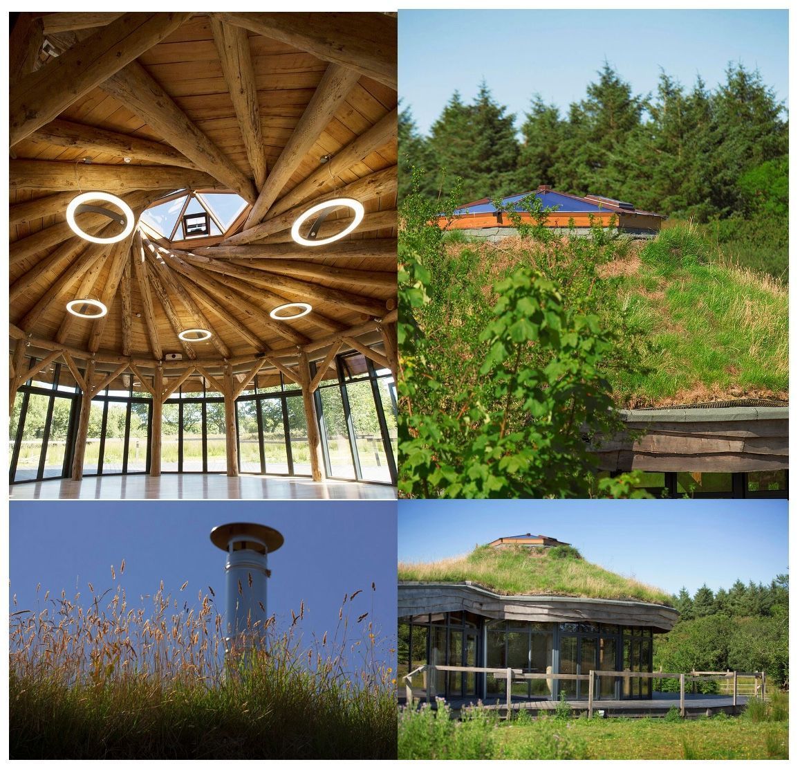 Green roof installation