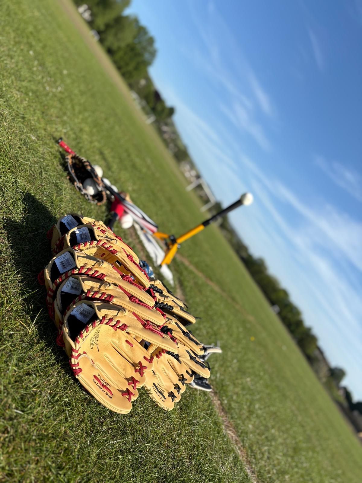 Baseball equipment on grass: gloves, bats, and a tee in sunlight.