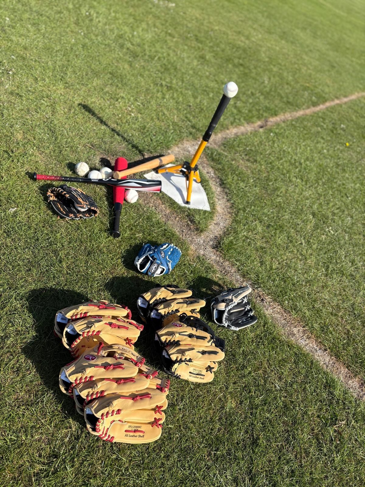 Baseball equipment on a green field. Includes gloves, bats, balls, and a tee near a white line.