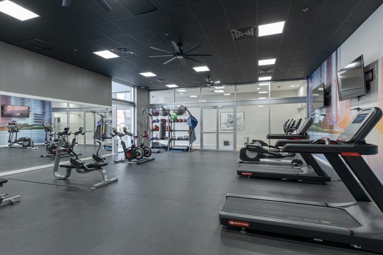 Modern gym interior with treadmills, weight machines, and large windows