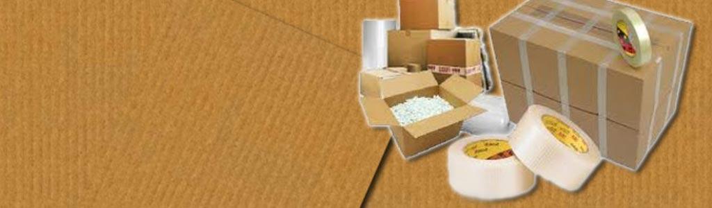 PYNSA DEL NORTE SA DE CV - Empaque de diversos productos