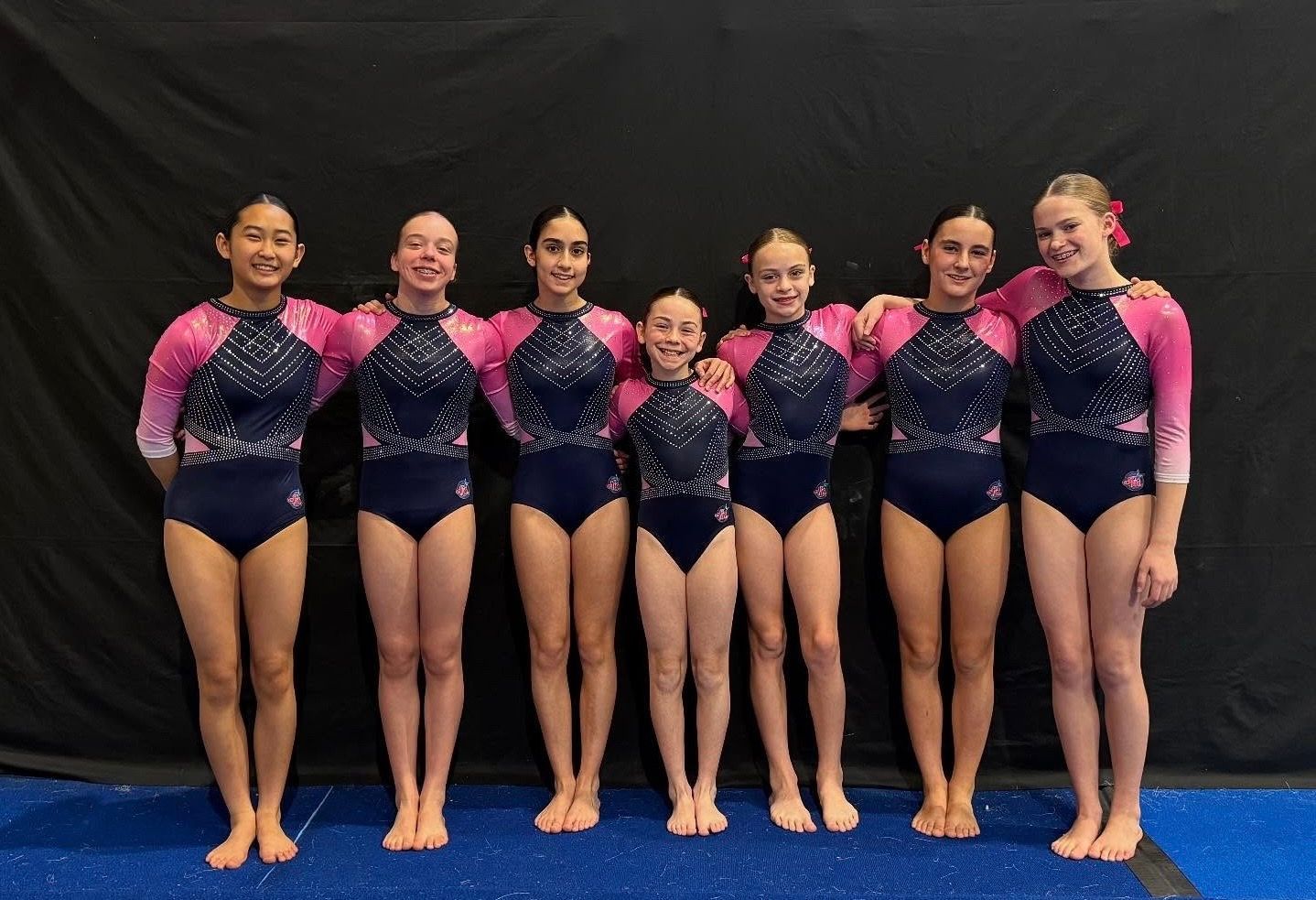 Gymnastics team posing; wearing navy leotards with pink sleeves; standing in front of a black backdrop.