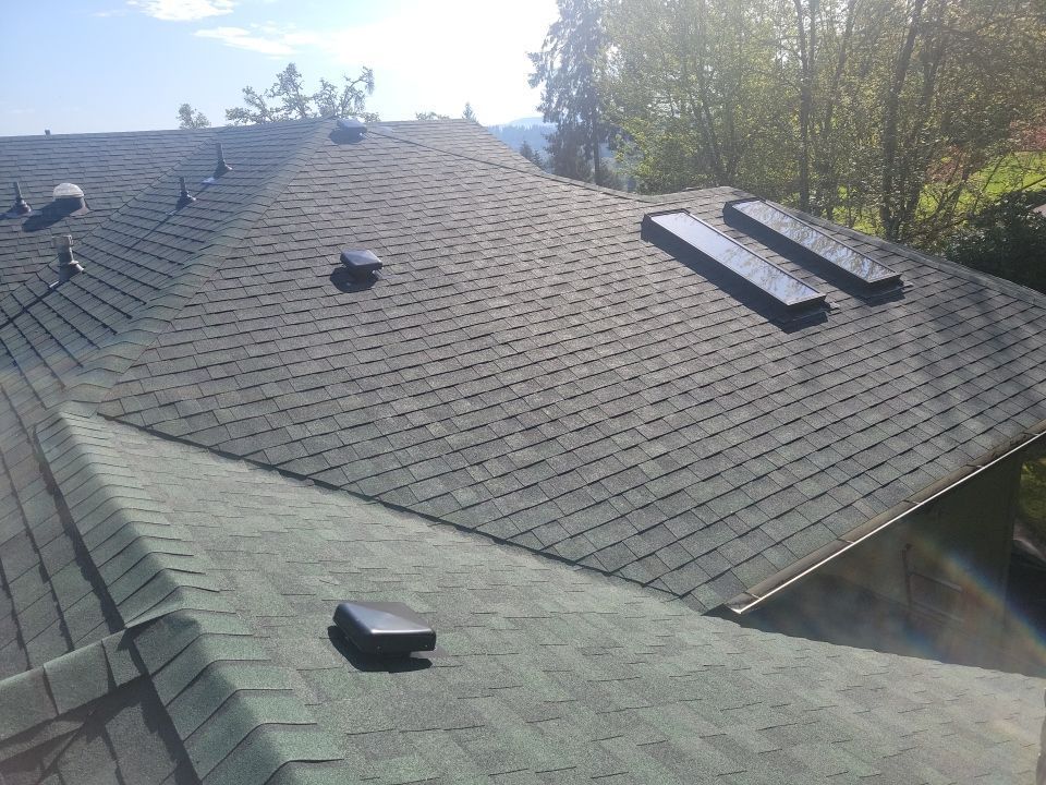 Residential rooftops with dark gray shingles and skylights among trees