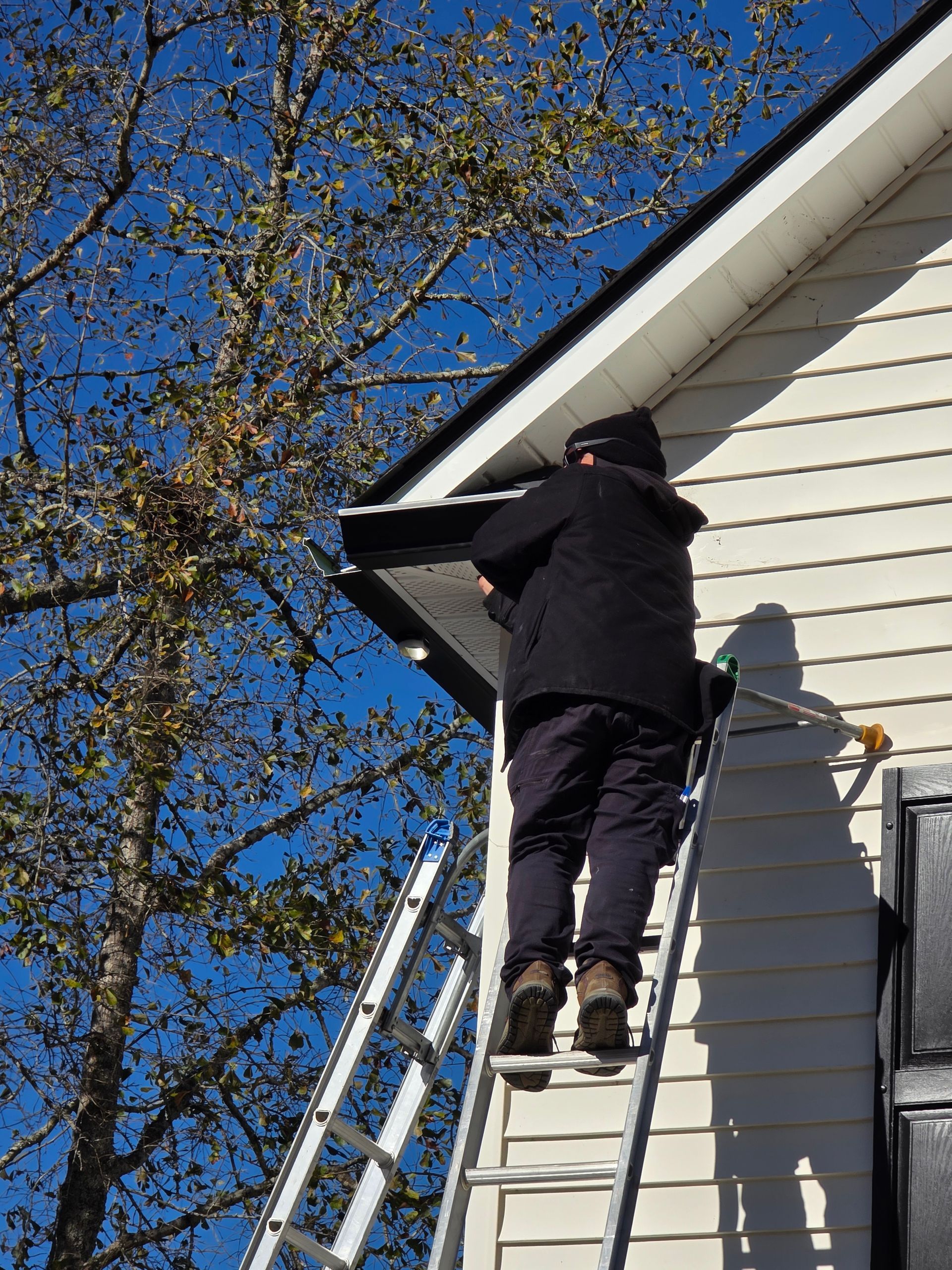A person in dark clothing stands on a tall ladder, performing maintenance on the edge of a house roof near a large tree.
