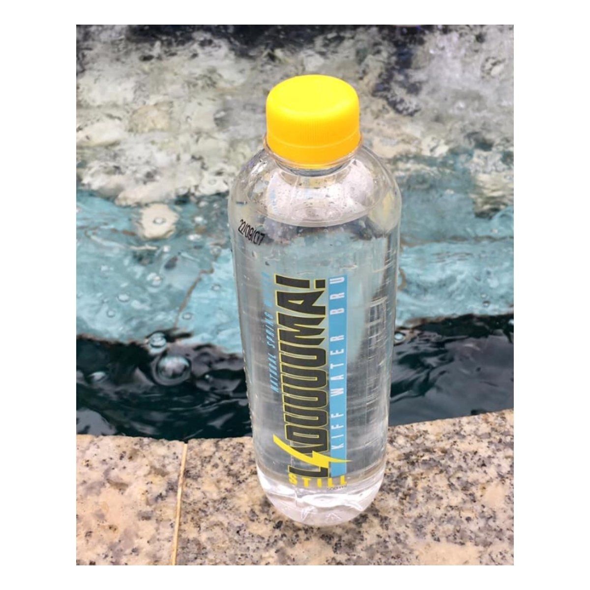 Water companies in South Africa - Laduuuuma