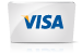 Visa LOGO