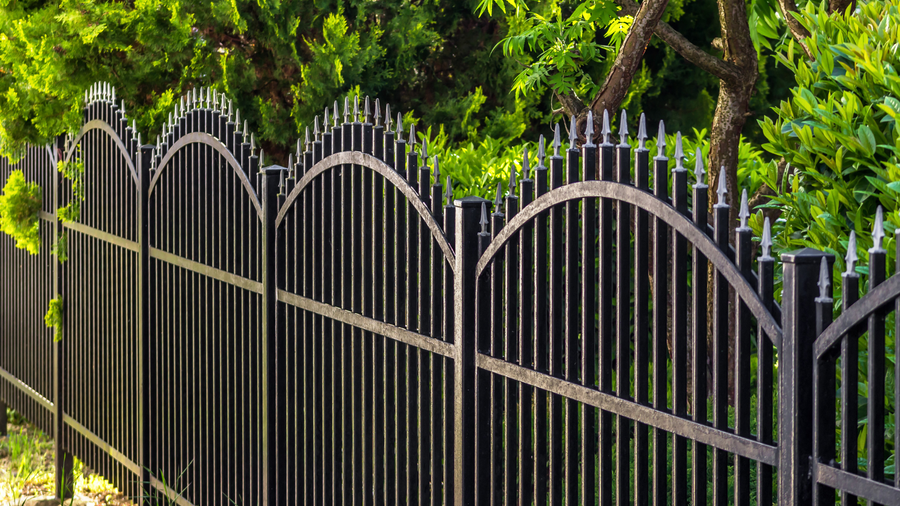 Tall black wrought-iron fence with arched tops in front of dense green trees and foliage