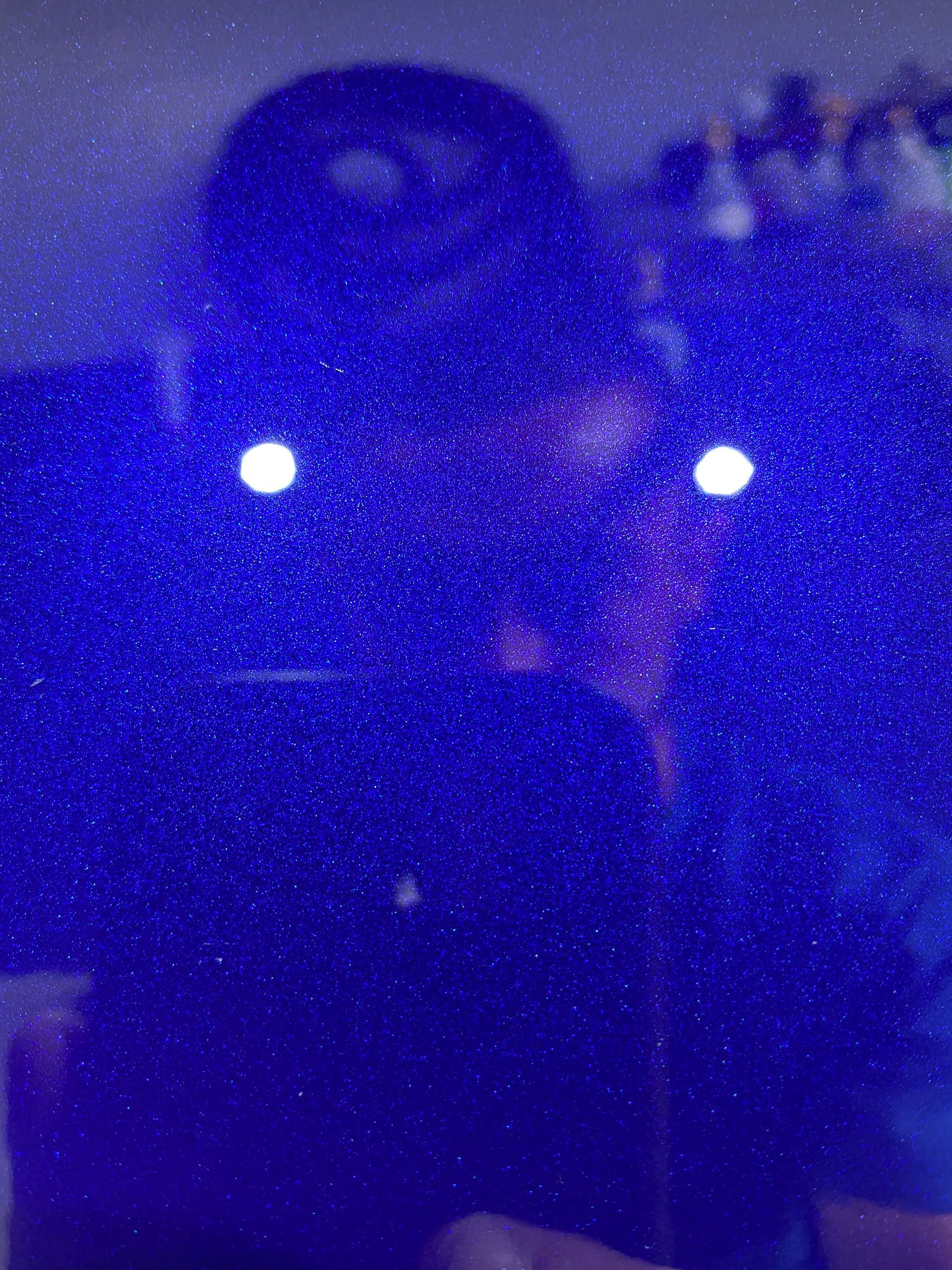 A person is taking a picture of themselves in a mirror.