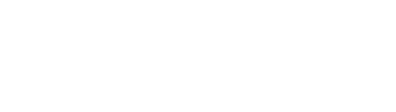 Gold Coast Pest Experts Gold Coast Pest Experts