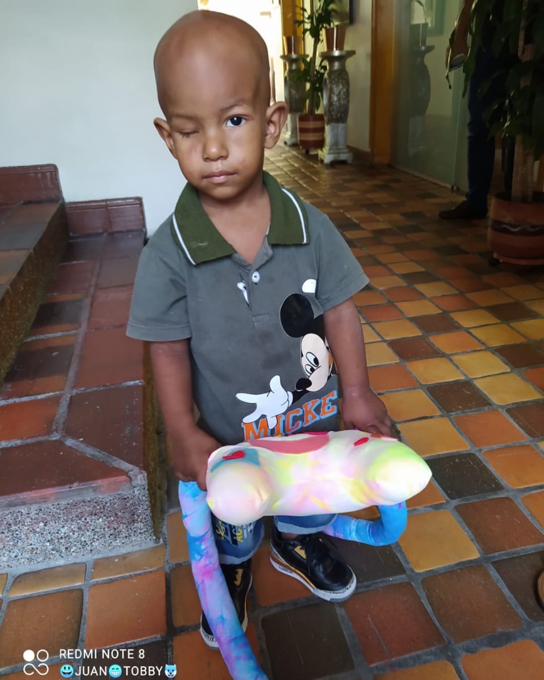 Niño pequeño con la cabeza calva, sosteniendo un juguete, vistiendo una camisa gris y de pie en el interior.