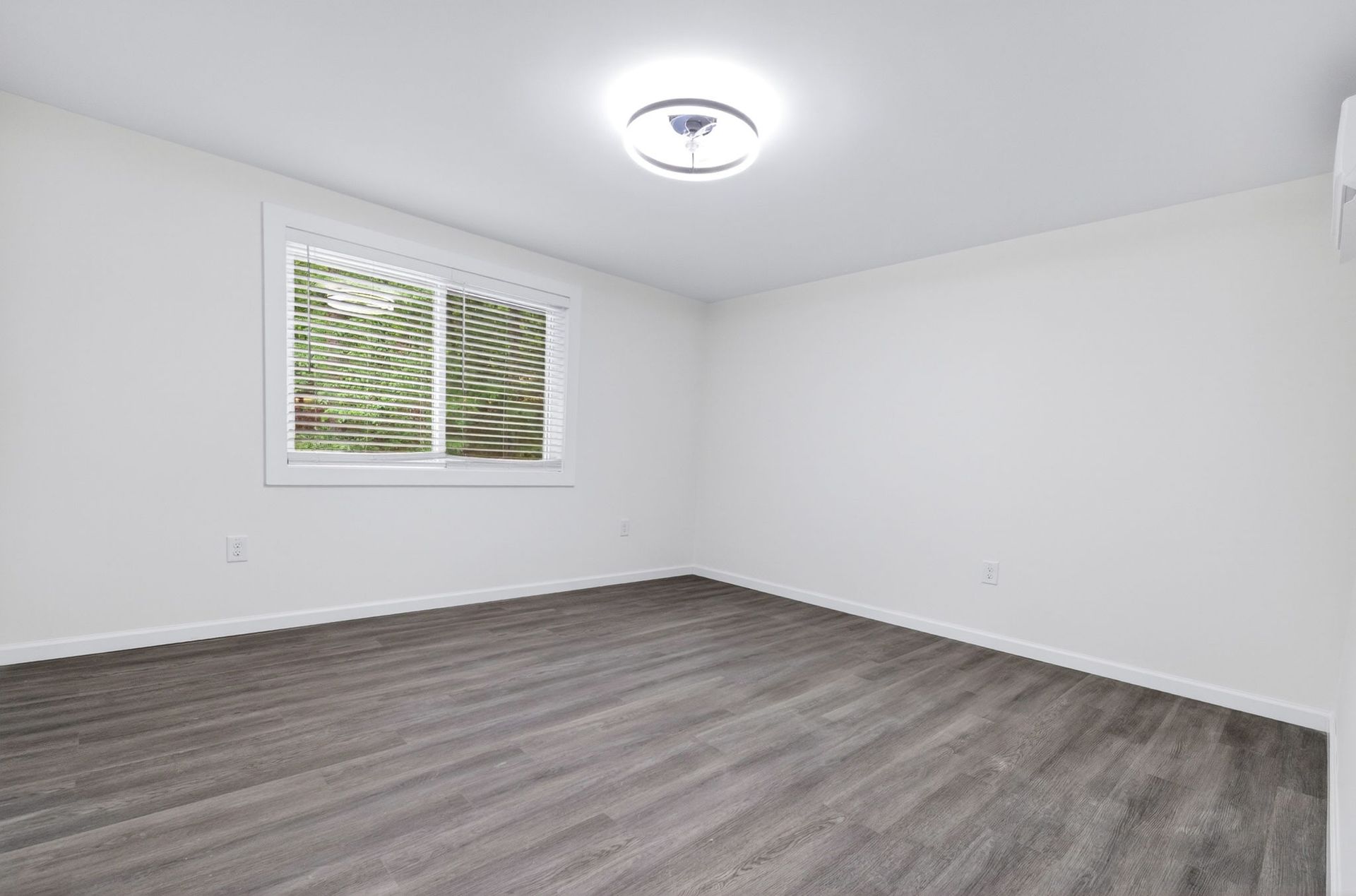 Empty white room with gray carpet, window, and ceiling light