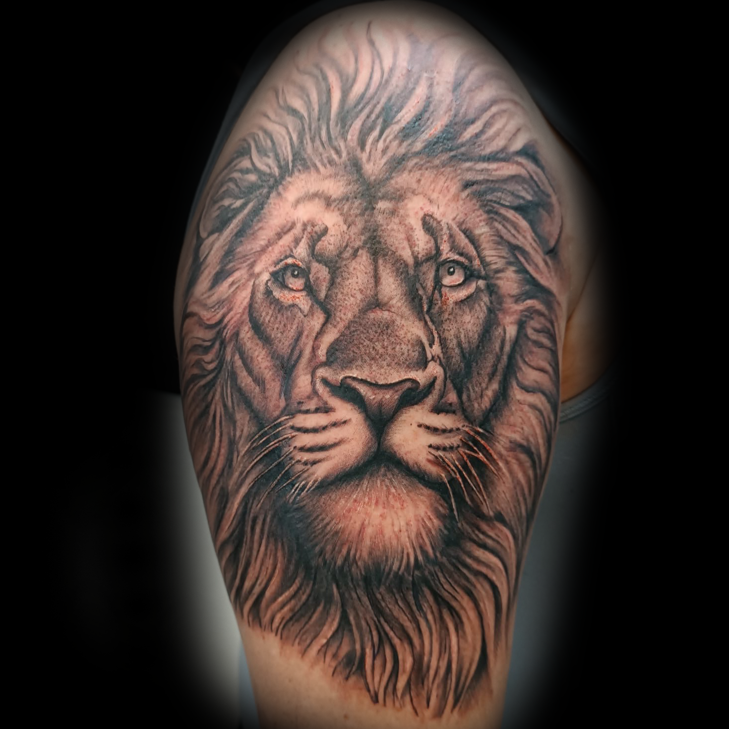 Schwarz-graues Löwengesicht-Tattoo mit detaillierter Mähne und realistischem Ausdruck von Roberto