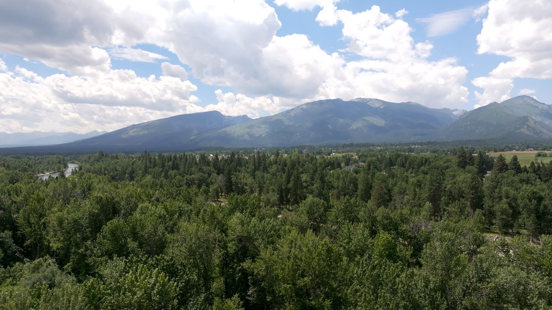 An aerial view of a forest with mountains in the background.